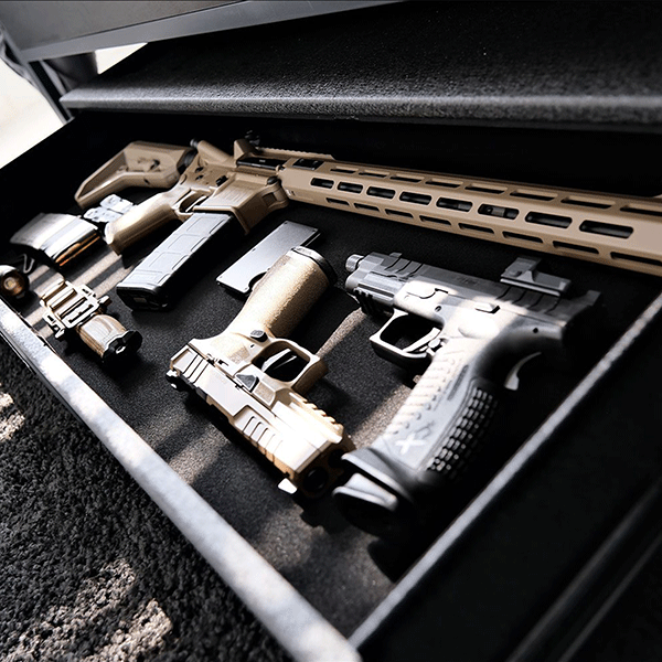 Vaultek RS Slider SL200i