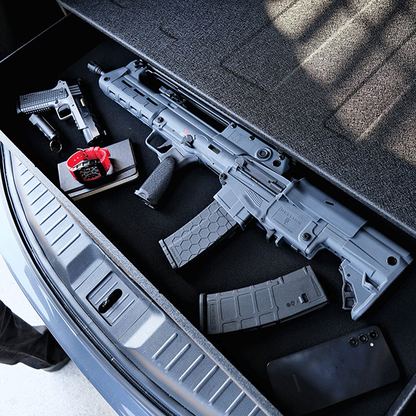 Vaultek RS Slider SL200i