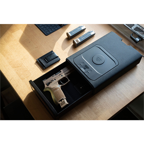 Vaultek DS2i Smart Station Safe
