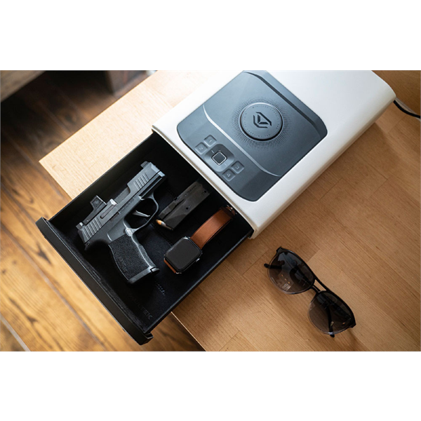 Vaultek DS2i Smart Station Safe