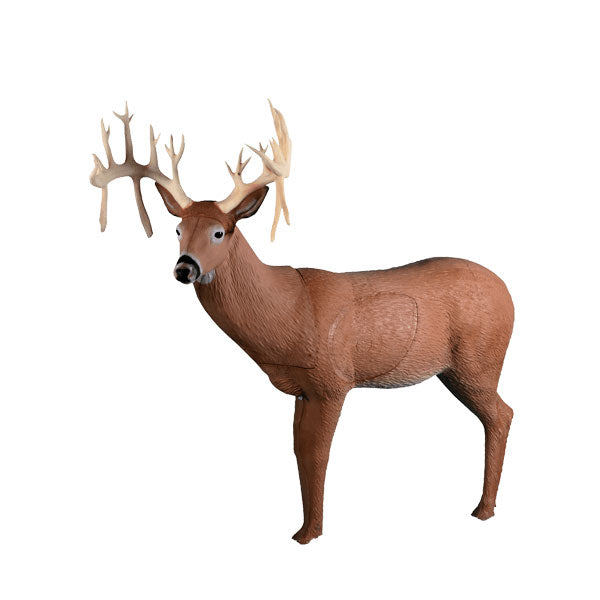 Rinehart Deer 30 Point Buck IBO